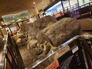 石室の実物（中に入れる！）