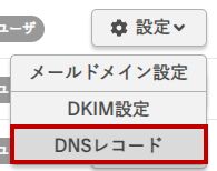 該当ドメインの設定＞DNSレコード