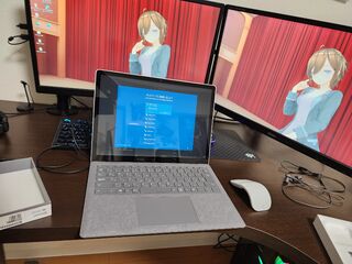 セットアップでArcマウスが使えないの微妙すぎる