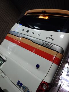 20250413_090637611.JPG