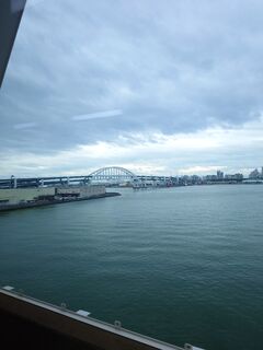 20250413_092744271.JPG