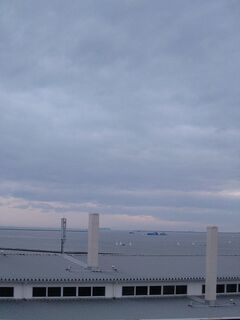20250413_093334571.JPG