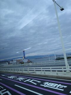 20250413_094158476.JPG