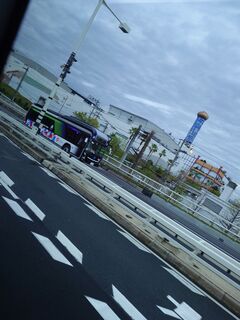 20250413_094224071.JPG
