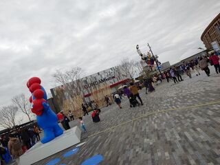 20250413_104745747.JPG
