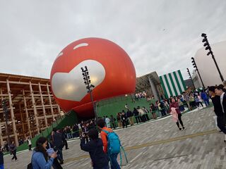 20250413_104802484.JPG
