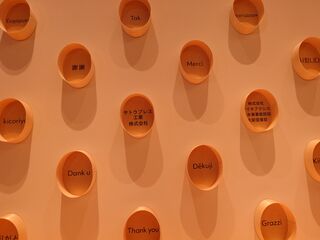 20250413_123624325.JPG