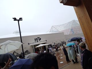 20250413_140249201.JPG