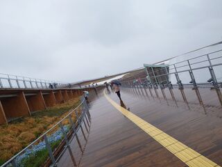 20250413_151101126.JPG
