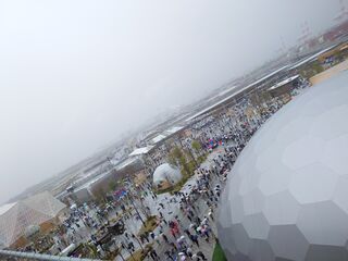 20250413_151615436.JPG