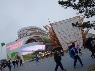 20250413_154909661.JPG