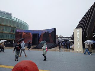 20250413_155139785.JPG