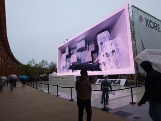 20250413_162443137.JPG