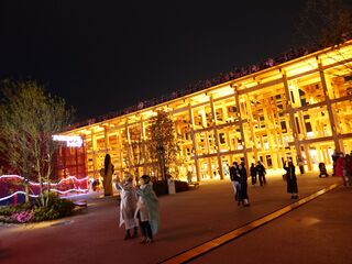 20250413_190128368.JPG