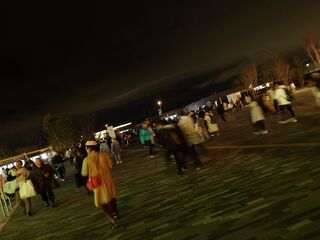 20250413_194557371.JPG