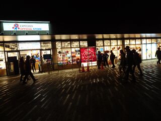 20250413_195456248.JPG