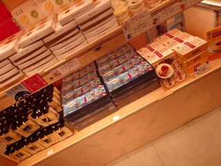 20250413_204519729.JPG