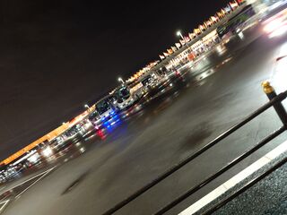 20250413_205259194.JPG