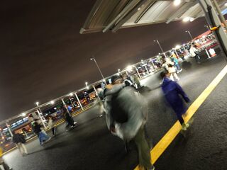 20250413_205303310.JPG