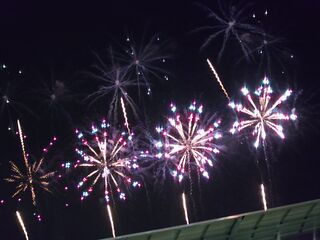 20250413_205926500.JPG