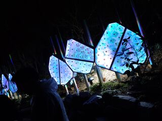 20250413_213154798.JPG