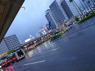 20250509_183811508.JPG
