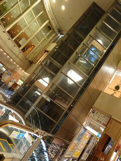 20250509_183842469.JPG