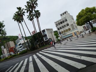 20250510_072823085.JPG