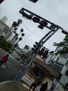 20250510_074621337.JPG