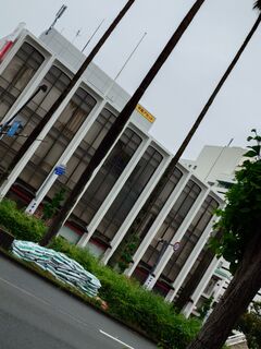 20250510_074841120.JPG