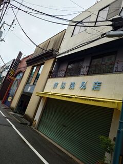 20250510_074943657.JPG