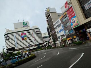 20250510_080323238.JPG