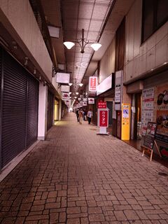 20250510_080502488.JPG
