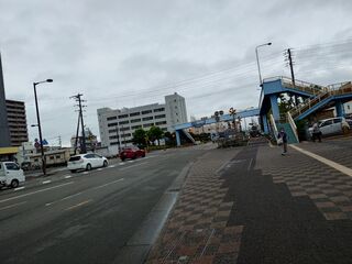 20250510_081117842.JPG