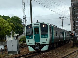 20250510_081234154.JPG