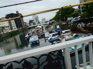 20250510_084853690.JPG