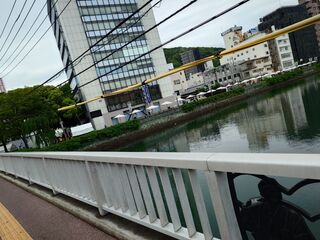 20250510_084855261.JPG