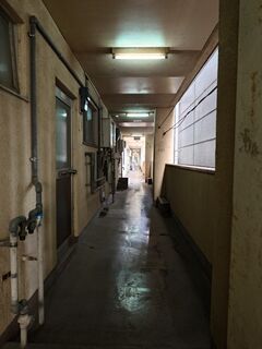 20250510_170444267.JPG