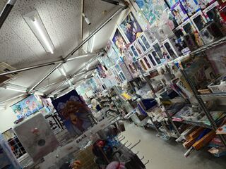 20250510_181611259.JPG