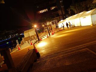 20250510_212000373.JPG