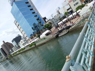 20250511_095205607.JPG