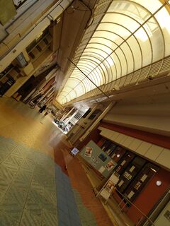 20250511_101441247.JPG