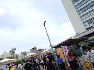 20250511_120715158.JPG