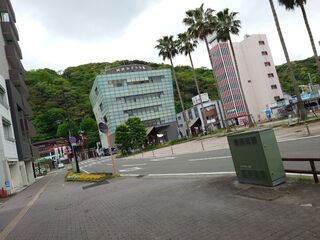 20250511_130910760.JPG