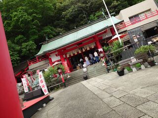 20250511_131201150.JPG