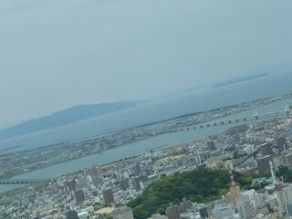 20250511_134432256.JPG