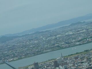 20250511_134449875.JPG