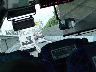 20250511_171522409.JPG