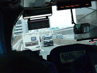 20250511_171854985.JPG