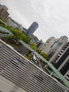 20250511_172611207.JPG